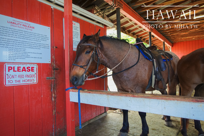 古蘭尼牧場,侏羅記公園電影場景,夏威夷自由行,鈦美旅行社