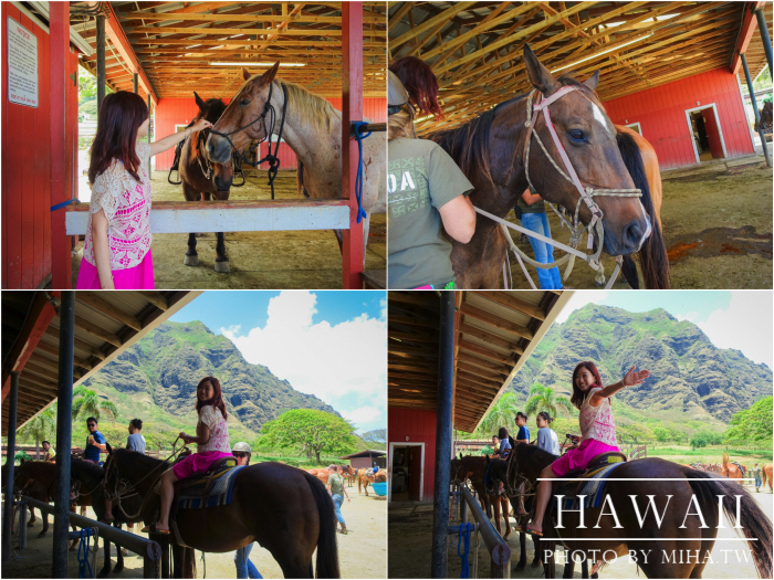 古蘭尼牧場,侏羅記公園電影場景,夏威夷自由行,鈦美旅行社