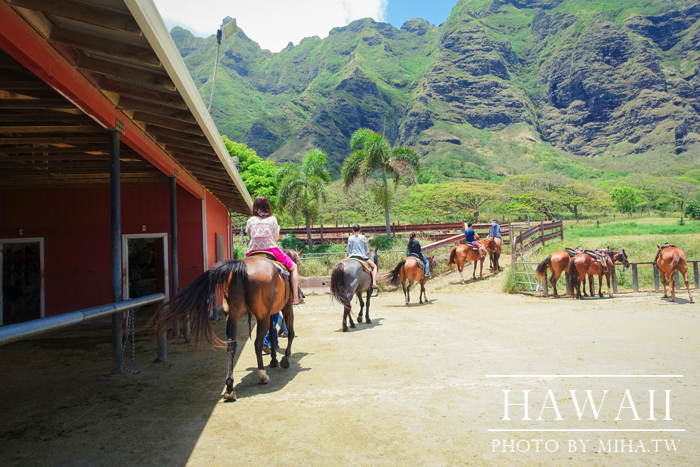 古蘭尼牧場,侏羅記公園電影場景,夏威夷自由行,鈦美旅行社