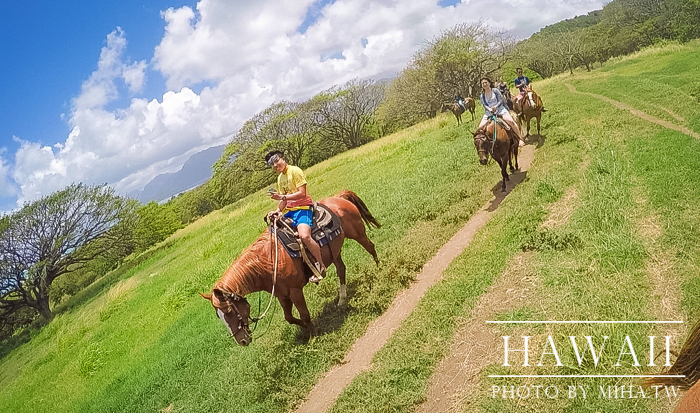古蘭尼牧場,侏羅記公園電影場景,夏威夷自由行,鈦美旅行社
