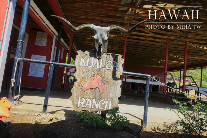古蘭尼牧場,侏羅記公園電影場景,夏威夷自由行,鈦美旅行社