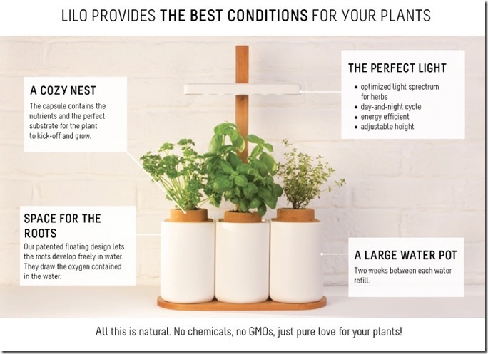 419587ba670a53e8719915fb23064ee3_original