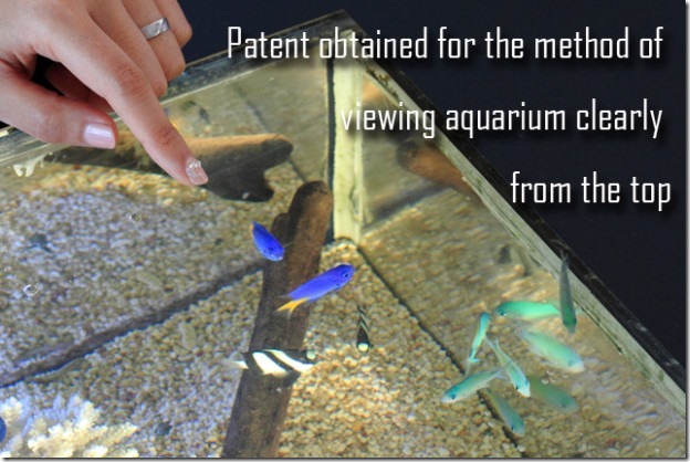 ec6tqw8virsevmlr64ri