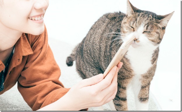 pmgmhv7txmxnyltwhjkl