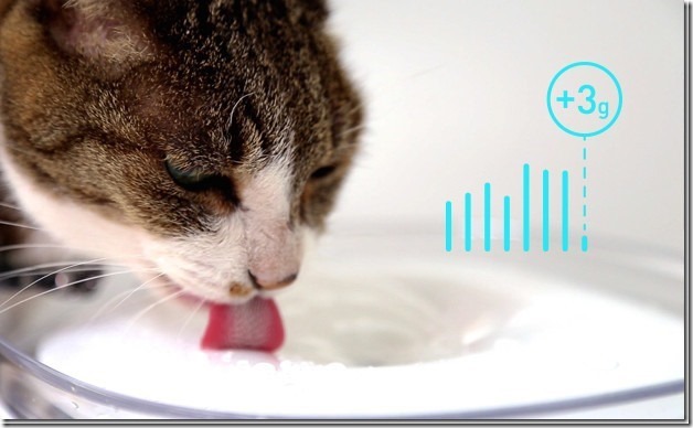 usrpsz3irmw1f8cjxhd5_thumb