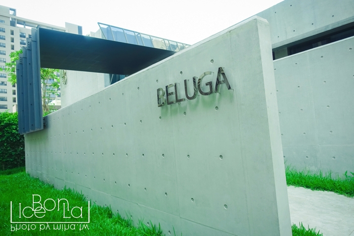 台中約會餐廳,台中酒吧,台中泳池趴,台中一日遊,beluga