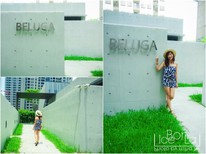 台中約會餐廳,台中酒吧,台中泳池趴,台中一日遊,beluga