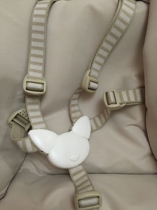 相片 2015-6-28 上午11 18 50