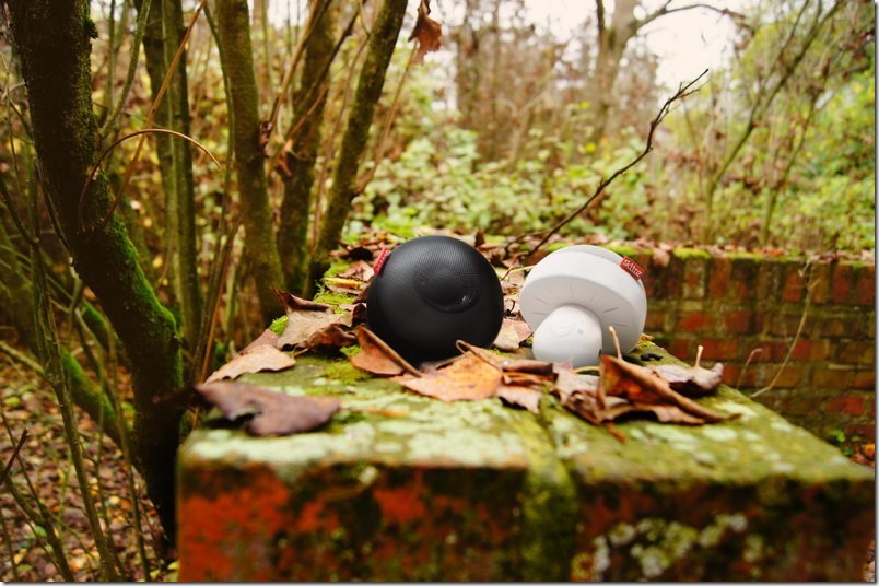 秋季情境圖_1_調整大小