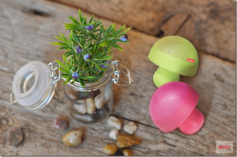 Q1Max_43(Green.Peach)_調整大小