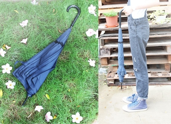 asset_5262_image_big