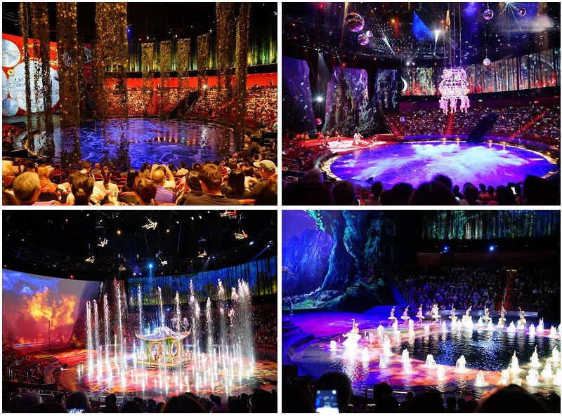 12019821_10153621273710421_5097485300865242967_n