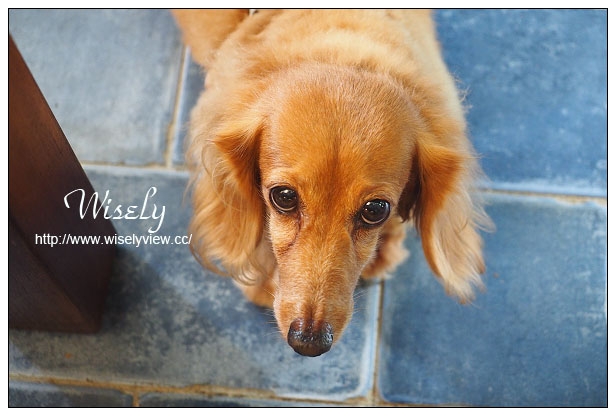 【食記】台北市。大安區：Left Party佐派份子私廚料理小派對＠溫州街巷弄裡的法式餐點店，捷運台電大樓站美食