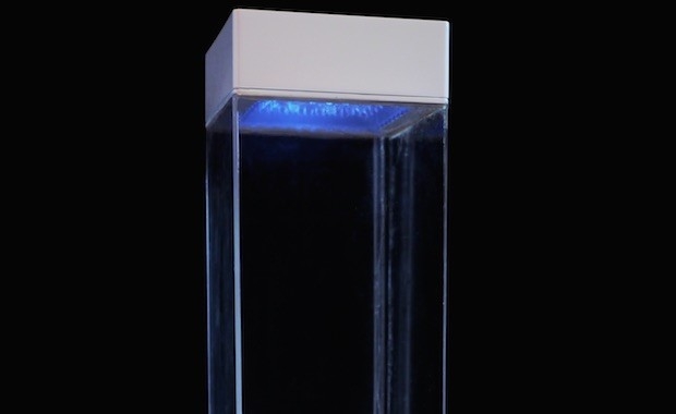 chmdcx7w0wvwy592pjzp