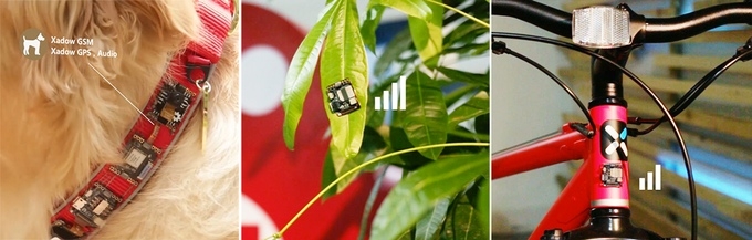 f71e03bda581ebeb38631a22e1e68394_original