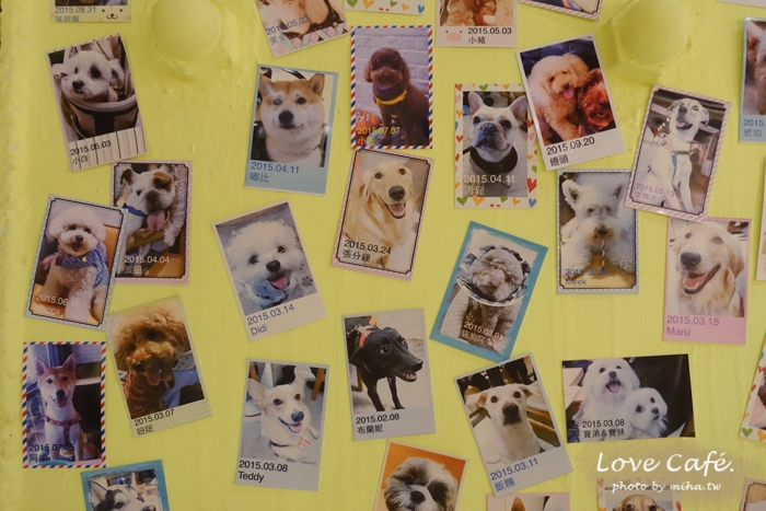 台北咖啡廳,台大餐廳推薦,公館餐廳推薦,台北聚餐餐廳,台北平價餐廳,台北下午茶,寵物友善咖啡廳,寵物友善餐廳,寵物餐廳