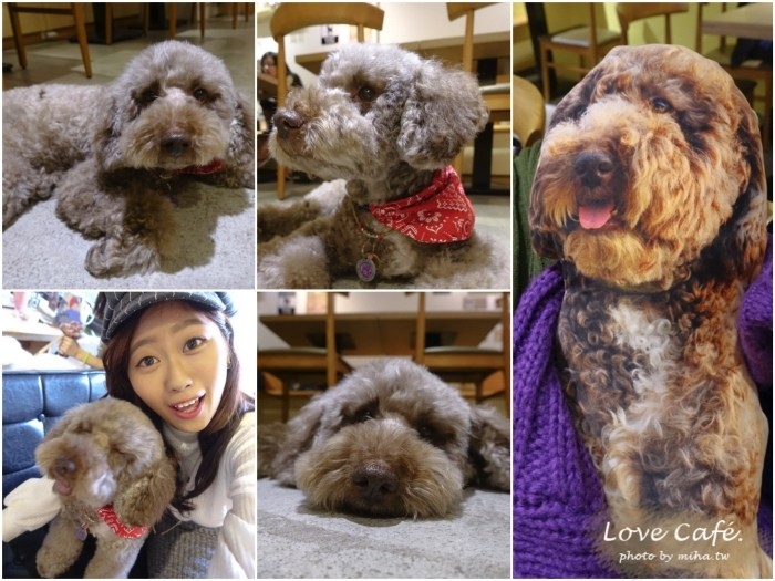台北咖啡廳,台大餐廳推薦,公館餐廳推薦,台北聚餐餐廳,台北平價餐廳,台北下午茶,寵物友善咖啡廳,寵物友善餐廳,寵物餐廳
