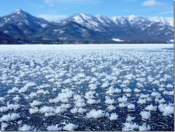 圖1：霜花主要季節為12月至3月間，視該季的溫度而定