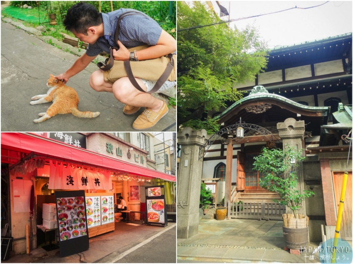 築地市場,東京自由行,東京海鮮丼,東京生魚片好吃,築地內市場,築地外市場