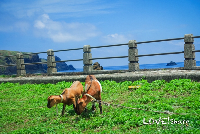 綠島自由行,綠島兩天一夜,綠島行程,綠島套裝行程,綠島綠海小築民宿,綠島民宿,綠島好玩,綠島景點,綠島餐廳
