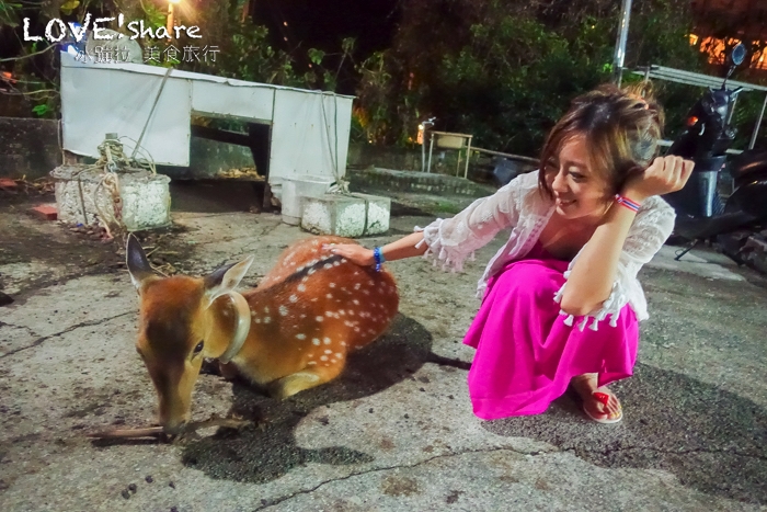 綠島自由行,綠島兩天一夜,綠島行程,綠島套裝行程,綠島綠海小築民宿,綠島民宿,綠島好玩,綠島景點,綠島餐廳