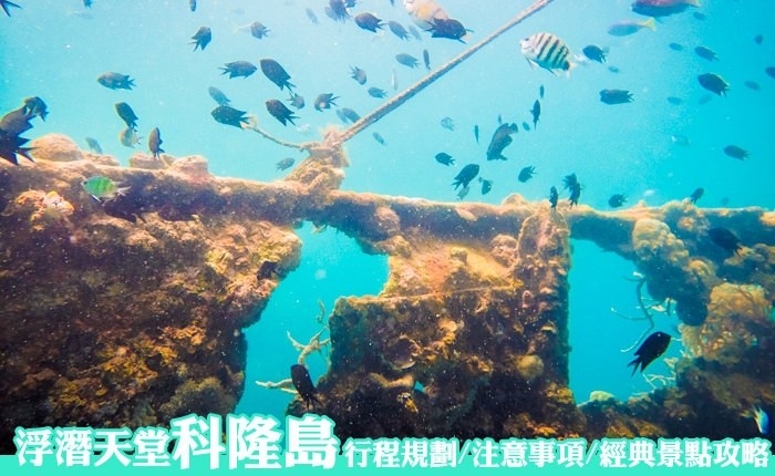 菲律賓科隆島,巴拉望科隆島,巴拉望潛水,科隆島潛水,科隆島行程,科隆島自由行,科隆島旅行社,科隆島好玩,科隆島浮潛