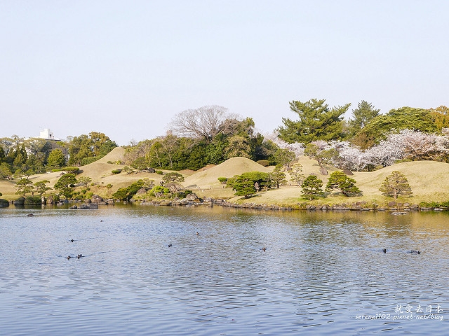 20140327山陽D2熊本-1130239