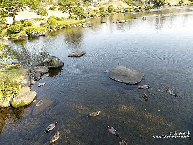 20140327山陽D2熊本-1130162