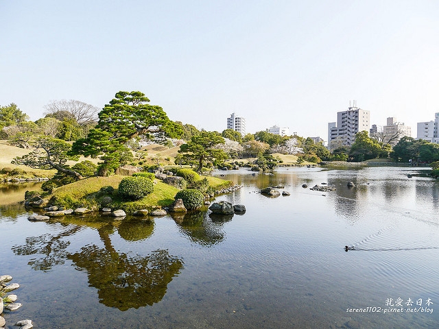 20140327山陽D2熊本-1130163