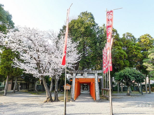 20140327山陽D2熊本-1130188