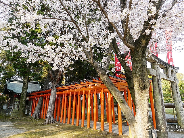 20140327山陽D2熊本-1130191