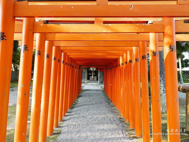 20140327山陽D2熊本-1130192