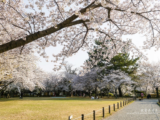 20140327山陽D2熊本-1130198
