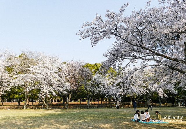 20140327山陽D2熊本-1130202