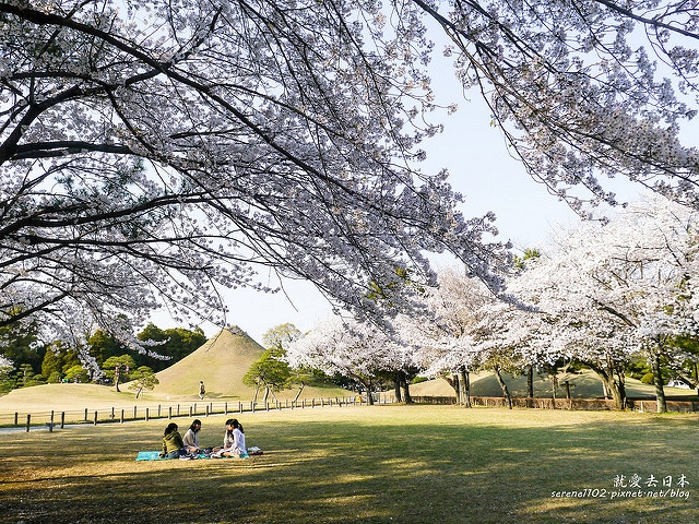 20140327山陽D2熊本-1130203