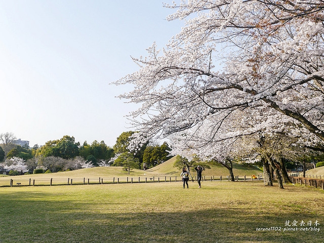 20140327山陽D2熊本-1130211