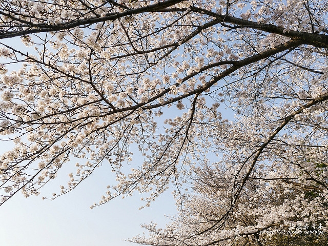 20140327山陽D2熊本-1130212