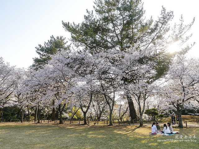 20140327山陽D2熊本-1130213