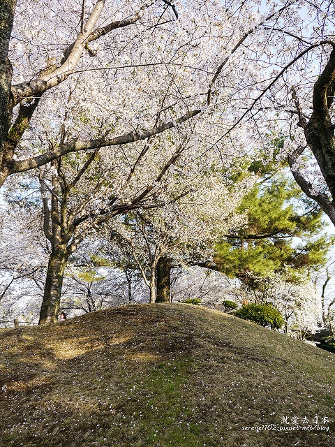 20140327山陽D2熊本-1130220