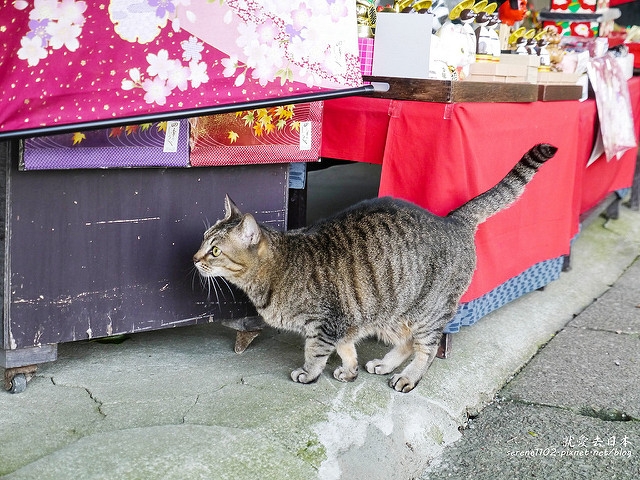 20140327山陽D2熊本-1130238