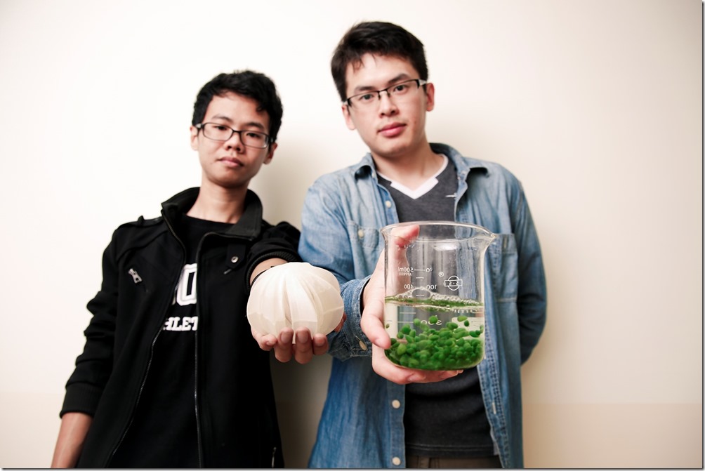 中華大學團隊以作品「green_fairy」，去年榮獲James_Dyson設計大獎國際賽優異獎