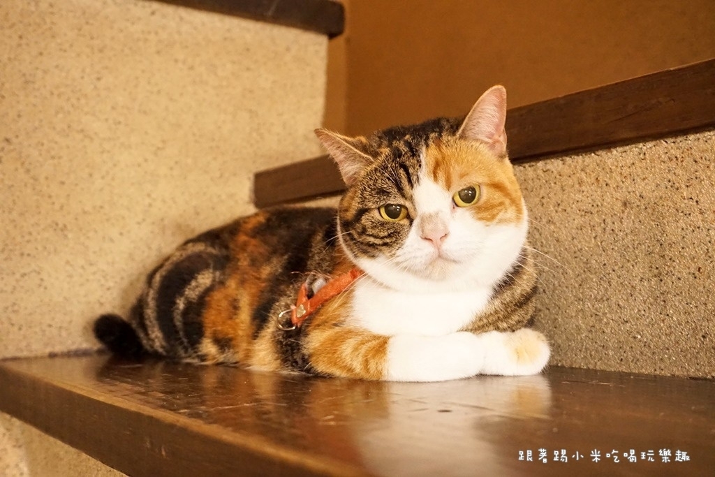 DSC08493.jpg DSC08493.jpg