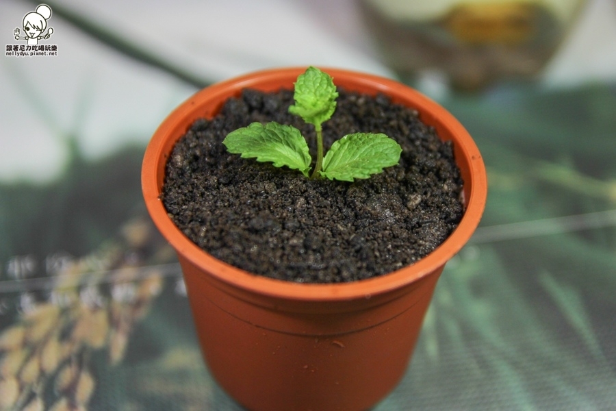 福德咖啡Food Cafe (40 - 47).jpg 福德咖啡Food Cafe (40 - 47).jpg