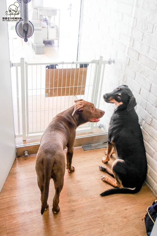 黑糖奶奶 飲料 (32 - 39).jpg 黑糖奶奶 飲料 (32 - 39).jpg