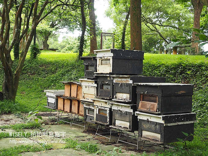 【遊記】新北市。三芝鄉：牧蜂農場＠特色金針花田小秘境，還有天然風味蜂蜜茶~(交通方式)