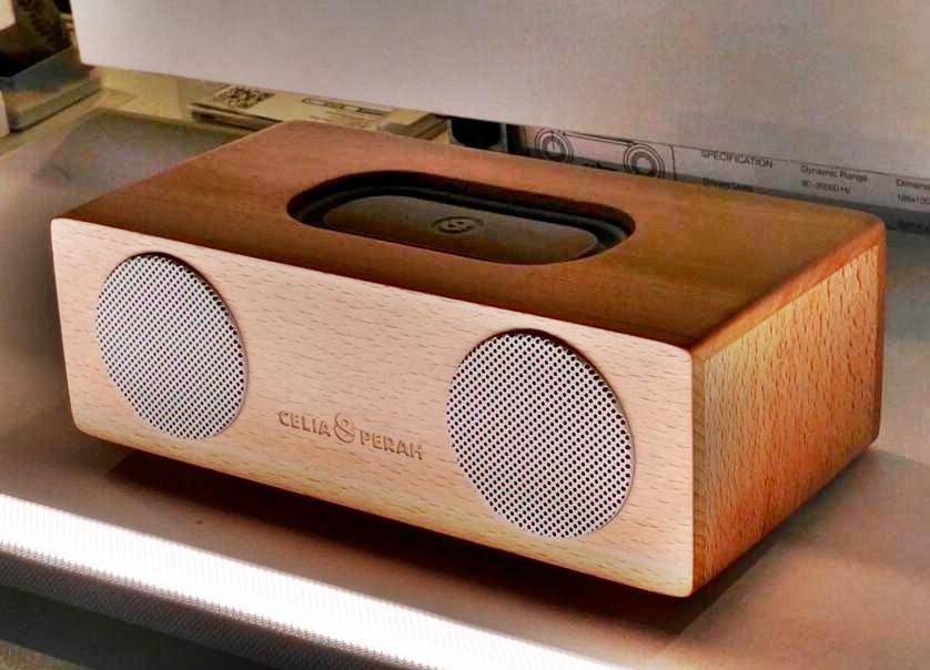 13322093_10205369304466693_3852104679860140934_n