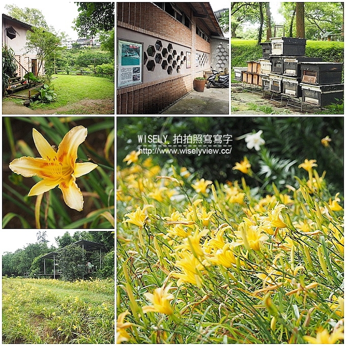 【遊記】新北市。三芝鄉：牧蜂農場＠特色金針花田小秘境，還有天然風味蜂蜜茶~(交通方式)