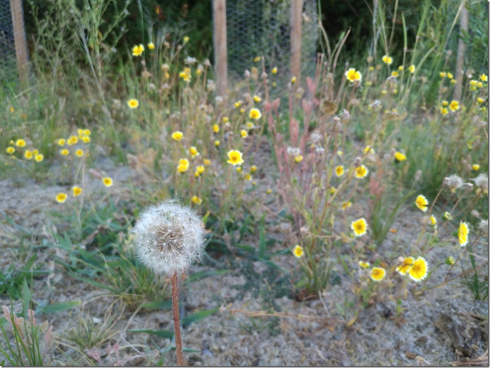 P_20160717_100023 P_20160717_100023