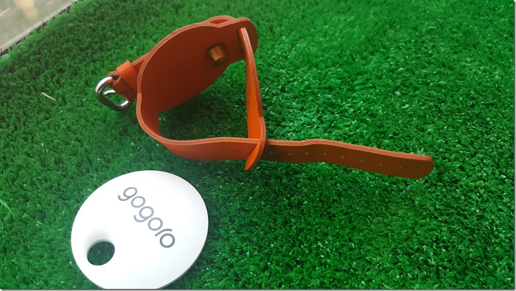 20160713_123441 20160713_123441