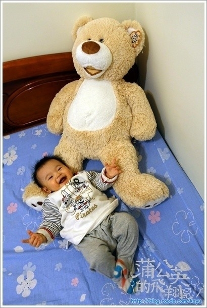 141227-costco大熊07